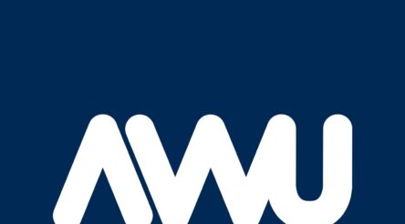 Image for AWU calls for smelter strategy amid growing crises