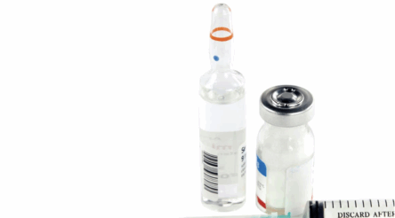 Image for Australia’s penicillin crisis: How a single drug shortage exposes our medical manufacturing vulnerability