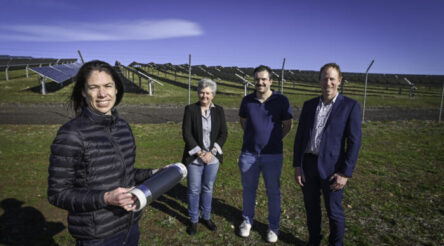 Image for From soil health to sodium-ion batteries: Team investigates biochar’s breadth of potential