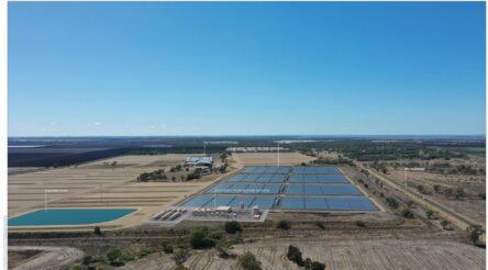 Image for Green hydrogen project reaches financial close in NSW