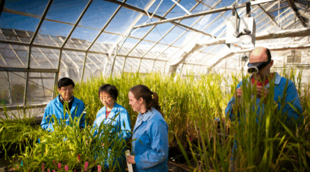 Image for Applications open for CSIRO’S Innovate to Grow: Agriculture, Food and Technology