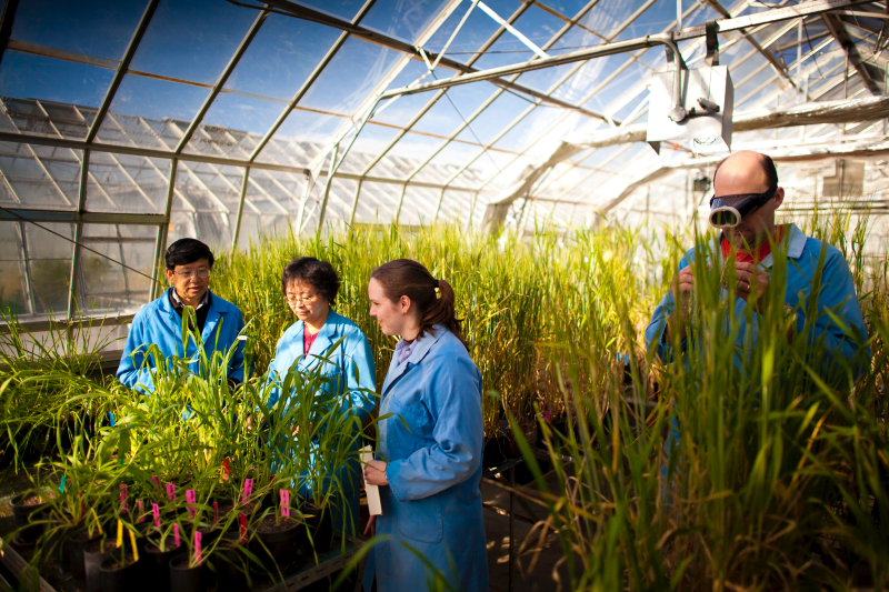 Applications open for CSIRO'S Innovate to Grow: Agriculture, Food and Technology