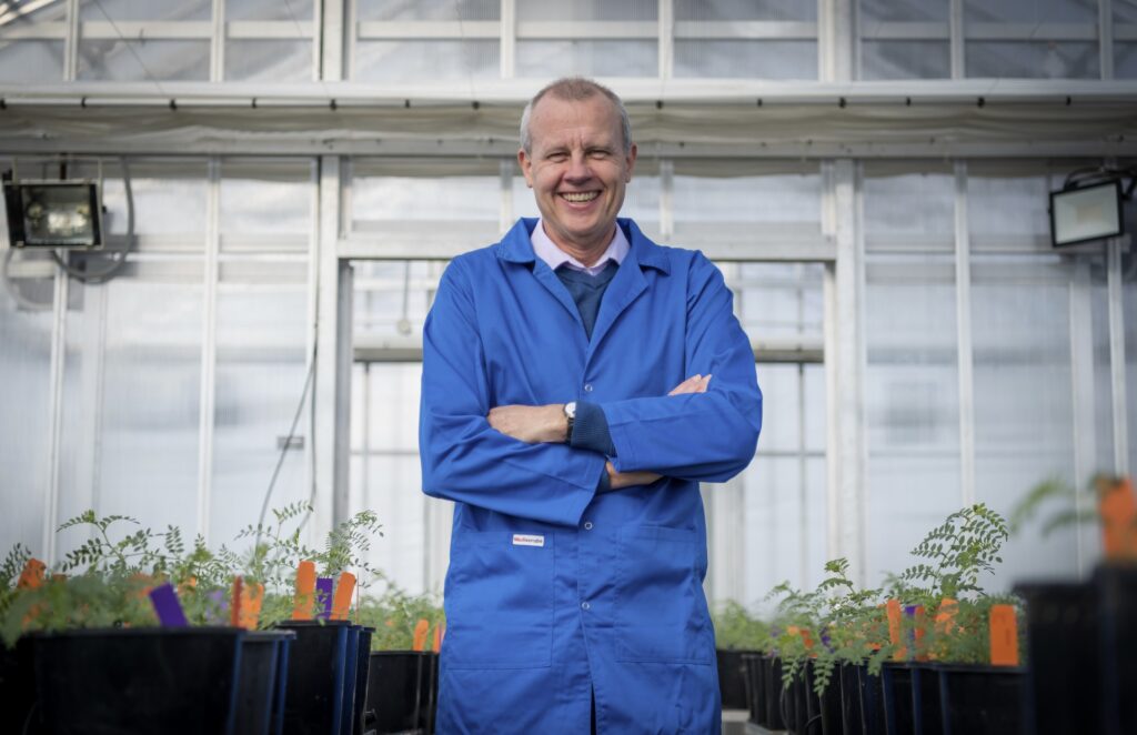 How Australian scientists convinced yeast to make human proteins (and why that's amazing)