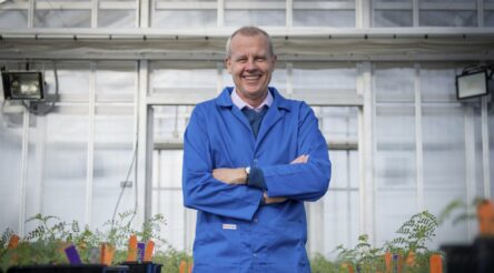 Image for How Australian scientists convinced yeast to make human proteins (and why that’s amazing)