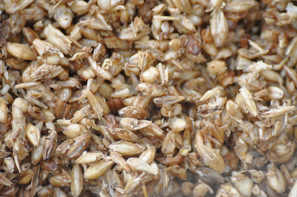 Public/private consortium invests $1.24 million in spent grain research