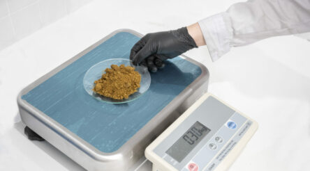 Image for Federal government awards Iondrive $3.9 million grant to help pilot plant build