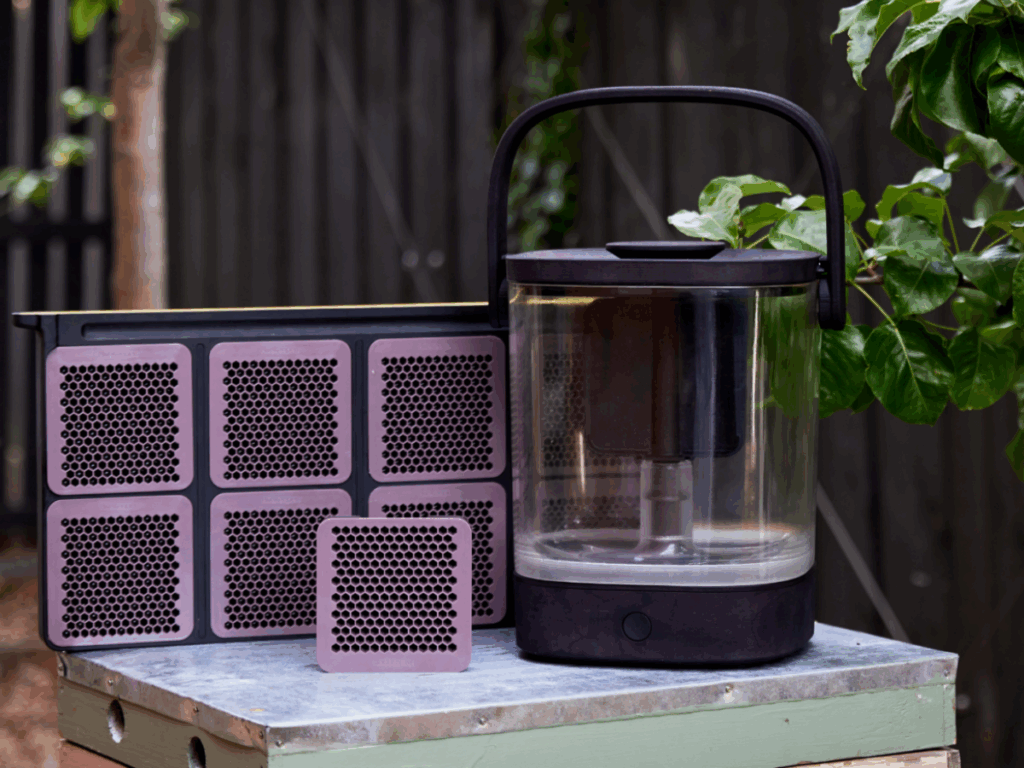 Honey harvesting startup to go global at upcoming Copenhagen congress