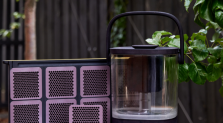 Image for Honey harvesting startup to go global at upcoming Copenhagen congress