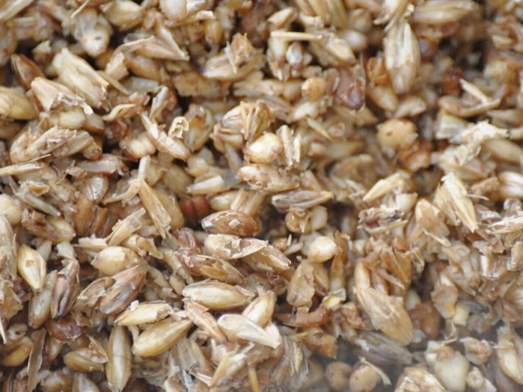 Best of the week — the five most popular stories among readers, August 25 – August 29, 2025