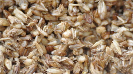 Image for Best of the week — the five most popular stories among readers, August 25 – August 29, 2025