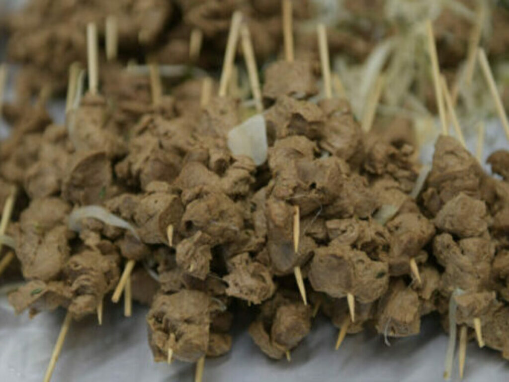 Breakthrough Victoria invests $2 million in Harvest B