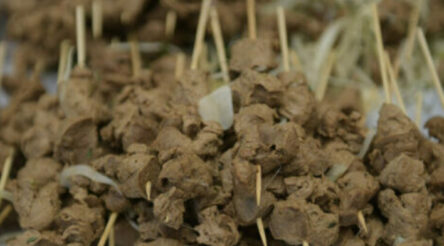 Image for Breakthrough Victoria invests $2 million in Harvest B