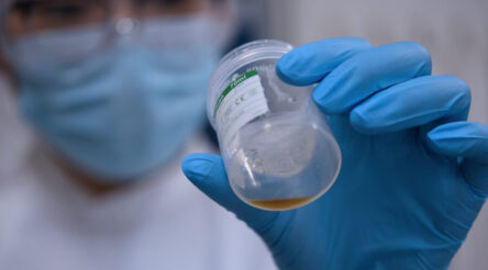 Image for Magnetic resin for removing PFAS from wastewater to be developed through CRC-P