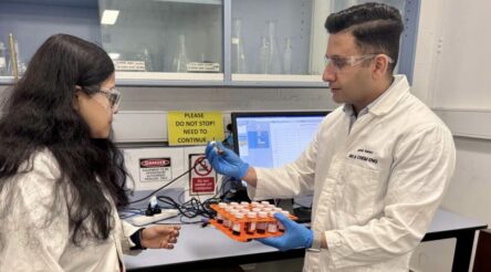 Image for Researchers’ “breakthrough catalyst” could deliver much more useful zinc air batteries: Monash University