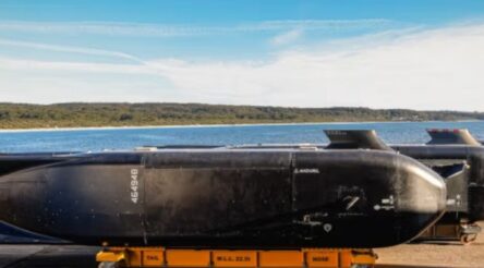 Image for Best of the week — the five most popular stories among readers, September 8 – September 12, 2025