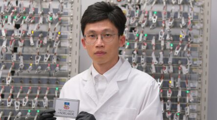 Image for Uni Adelaide researchers develop new electrolyte for stabler aqueous zinc batteries