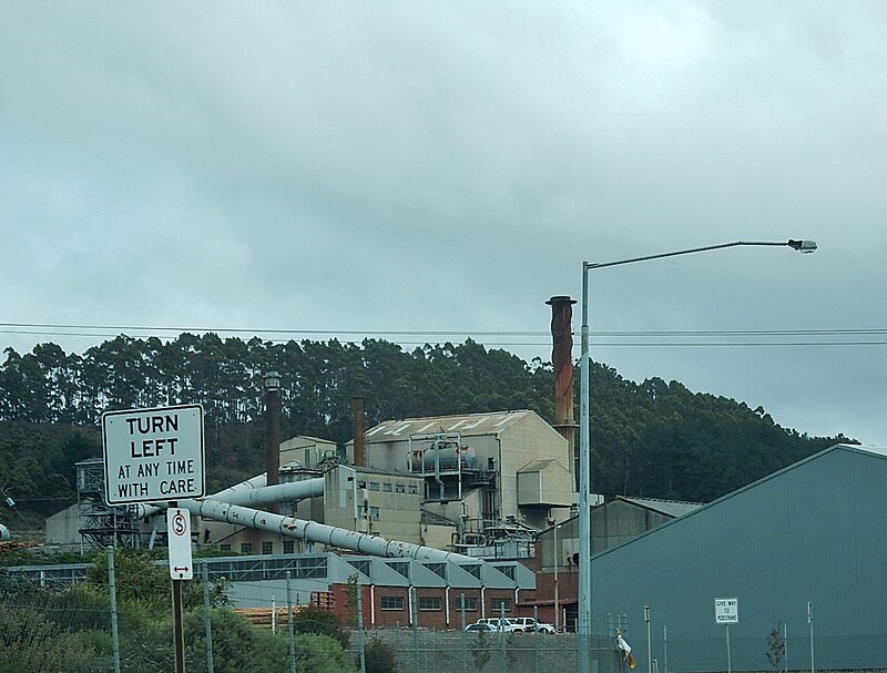 News launches “Back Australia” campaign